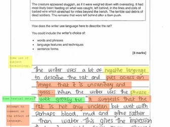 AQA English Language Paper 1 Marked and Annotated Exam Responses on all questions