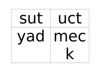 Pseudo Word Flashcards