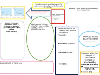 Neuromuscular Revision Mat