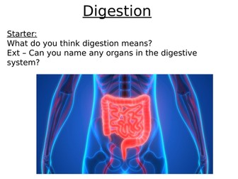AQA Enzymes and Digestion Complete Topic
