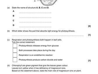 Revision 3 - Exam style questions (KS3, Year 9, IGCSE)