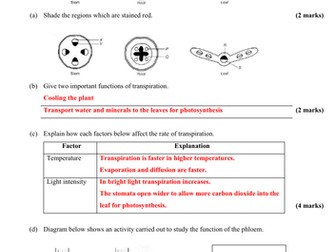 Answer script for Revision 1 & 2