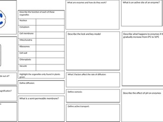 WJEC Double Science Revision Broadsheets (Year 10)