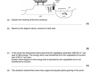 Revision 5 - Exam style questions (KS3, Year 9, IGCSE)