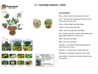 whole school yr 1 - yr 6 science Knowledge Organisers