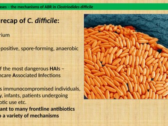 Mechanisms of ABR (antibiotic resistance) in C. difficile
