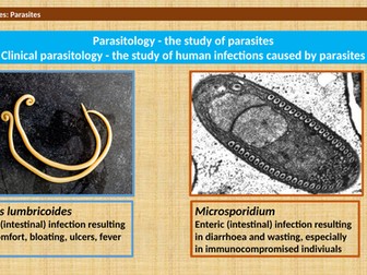 Infectious Diseases - Parasites (Parasitology)