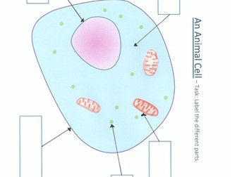 An Animal Cell diagram to label