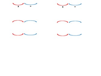 Multiplying fractions scaffolded worksheet
