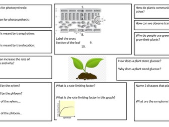 Plant Biology summary sheet GCSE