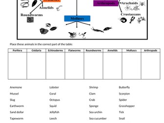 Invertebrates challenge