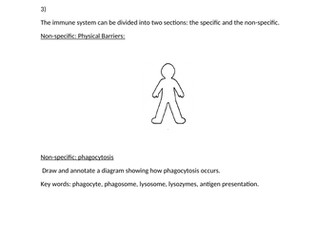 Immune System Revision Workbook