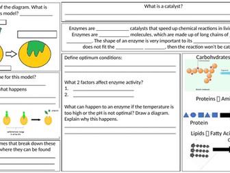 Enzyme cheat sheet