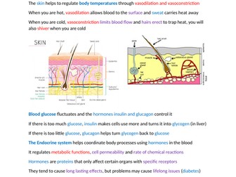 Edexcel IGCSE Biology Grade 9 Revision Notes