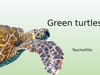 Turtle unit (science and maths)