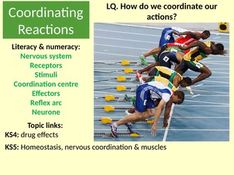 AQA. GCSE. Biology. Homeostasis. 2. Coordinating reactions.