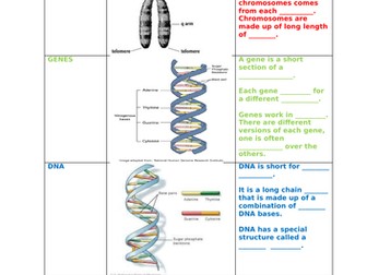 GCSE SCIENCE - DNA, CHROMOSOMES AND GENES.