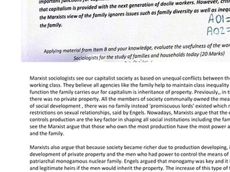 Marxist Family Sociology Example Essay