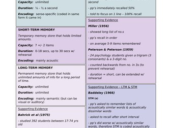 Multi Store Model of Memory and Evaluation