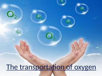 A-Level PE - The Cardiovascular System (Lesson 7 - The Transportation of Oxygen)