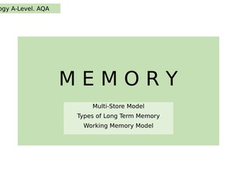 Memory PowerPoint