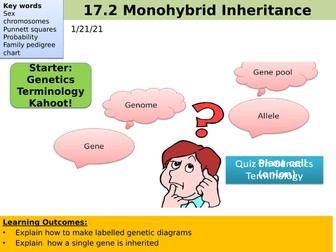Monohybrid Inheritance AQA A level