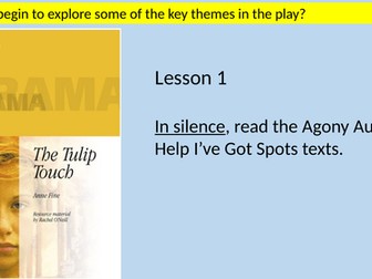 Tulip Touch (Play) by Anne Fine Full Scheme of  Work KS3