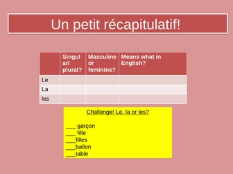 Use of du, de la and des