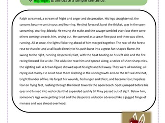 Lord of the flies - analysing text