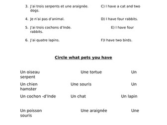 Pets - activity sheet French