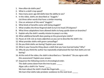 KS2 Comprehension - The Extreme Life of a Sloth