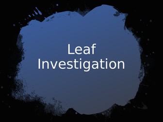 Leaf Investigation