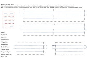 Antibody model building worksheet