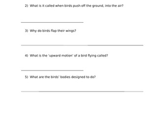 How Do Birds Fly? Comprehension questions