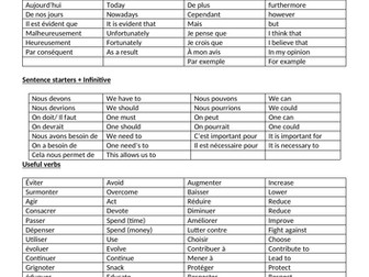 French Leaving Cert Opinion Piece expressions/ vocab/ verbs