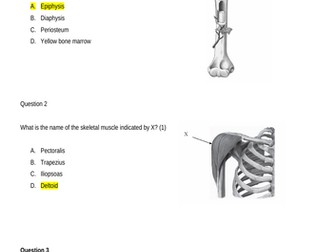IB Sports Science Mock Exam and Answers