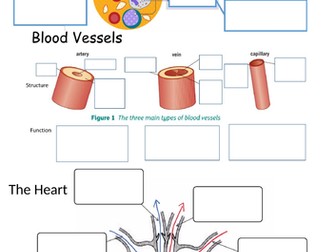 AQA GCSE Blood and Blood Vessels