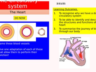AQA GCSE The heart