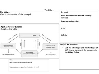 The kidney - summary worksheet (HT)
