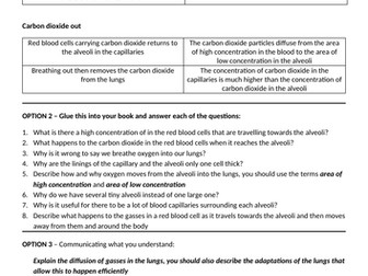 Gas exchange - KS3 3/16