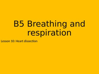 Heart dissection - KS3 10/16