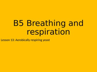 Aerobic respiration investigation - KS3 13/16