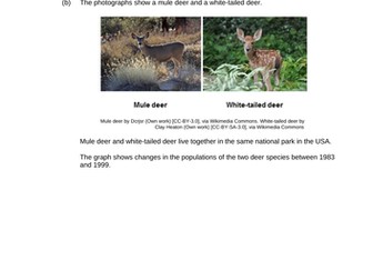 Predator prey relationships