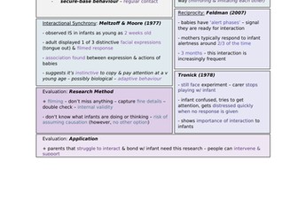 Attachment - Stages of Attachment