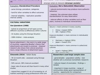 Attachment - Ainsworth's Strange Situation