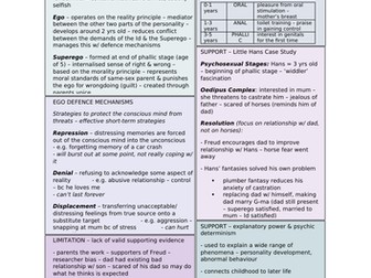 The Psychodynamic Approach