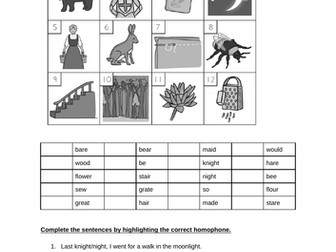 Homophones - Year 2 grammar lesson and resource