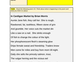 In Cardigan Market Welsh Poetry
