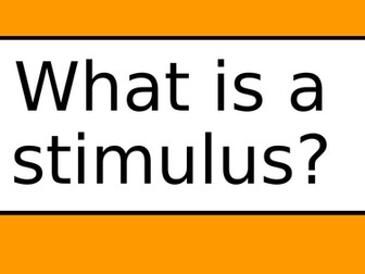 One off Drama Lesson - Online/Isolation Work
