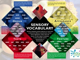 Sensory Evaluation - Sensory Vocabulary Poster